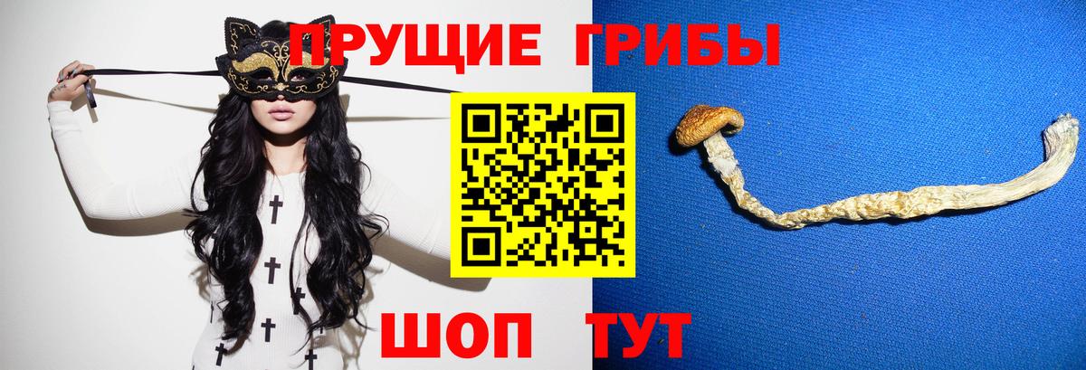 Янаул  продажа наркотиков  Вход с VPN  Псилоцибиновые грибы мицелий  Галлюциногенные грибы прущие грибы 