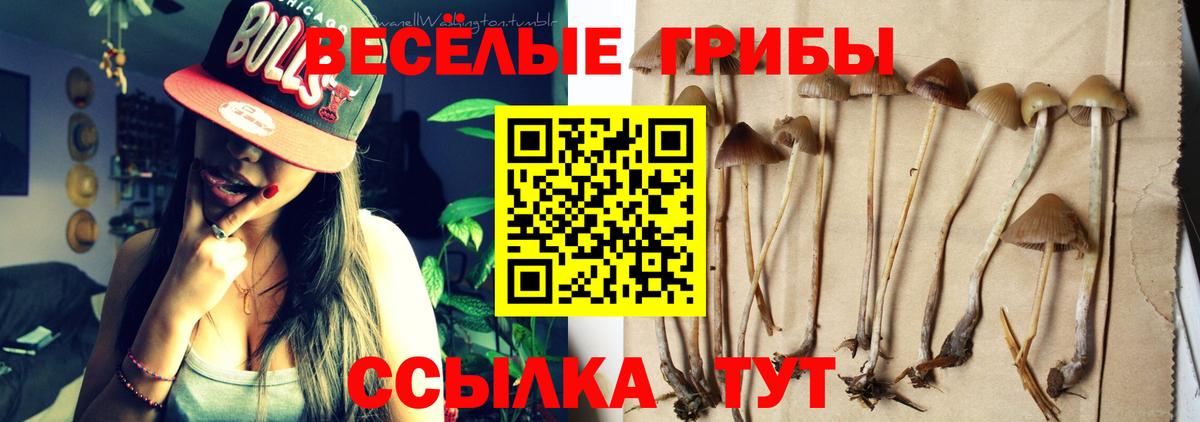 Псилоцибиновые грибы мицелий Янаул